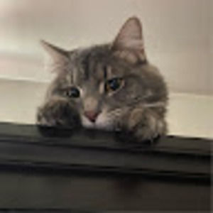 Meet your Posher, Val